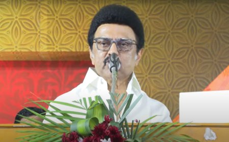 'Have babies now': CM MK Stalin to couples in Tamil Nadu amid delimitation row