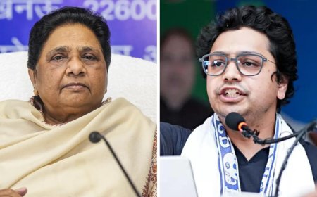 'Under influence of ...': Mayawati expels nephew, reveals reason why
