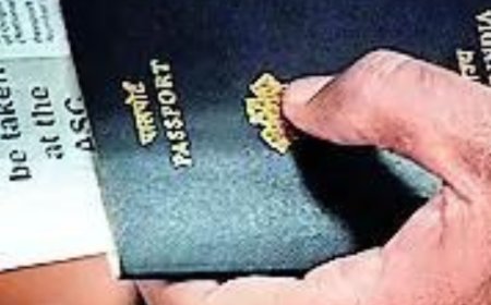 At 67.6 lakh, 2024 visa applications cross pre-Covid levels