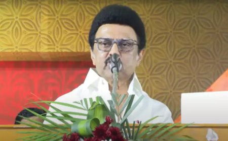 'Have babies immediately': Stalin amid delimitation row