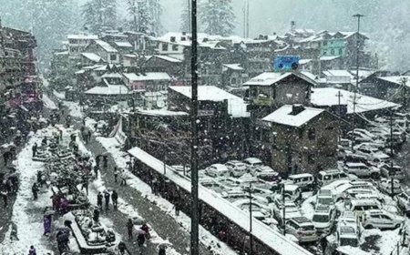 Fresh snowfall, rain disrupt life in Himachal Pradesh districts; boards put off
