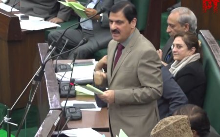 'People on the other side have ...': NC MLA sparks row by comparing J&K development with PoK