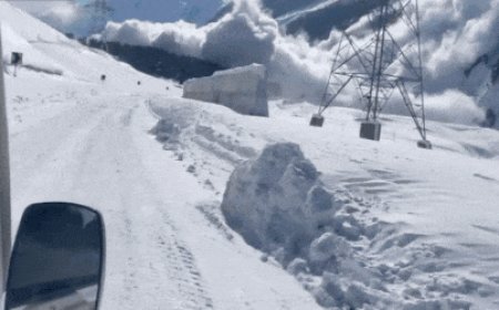 Watch: Avalanche strikes Sarbal area of Sonmarg in J&K; no casualties reported