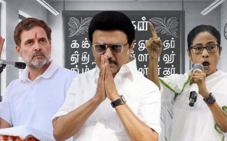 Stalin vs BJP: Why Congress, INDIA bloc are in a fix over delimitation, Hindi 'imposition' row