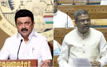 'Arrogant, need to be disciplined': TN CM Stalin hits out at Union education minister Pradhan over NEP