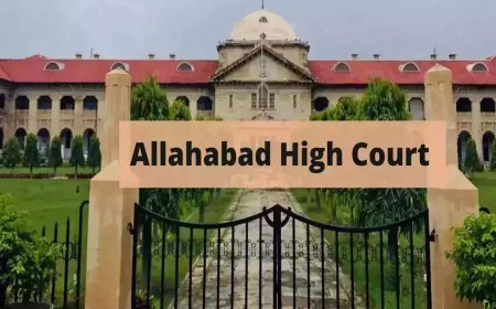 File report on need for Sambhal masjid whitewash: HC to ASI