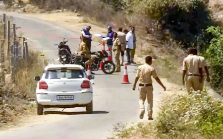 Survivor returns to Israel; Hampi sees exodus