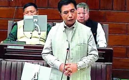 Foreigners entering Myanmar via Mizoram to train rebels: CM