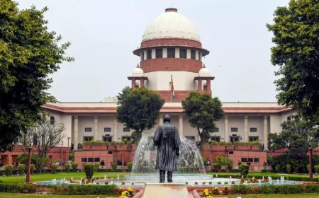 President appoints Justice Bagchi to Supreme Court