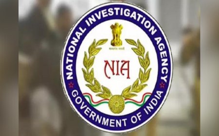 Set up NIA-like agency to fight cybercrime, says Parliament panel