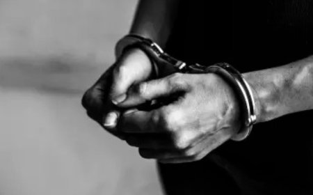 Chef of Nagpur 5-star arrested for flashing women on road