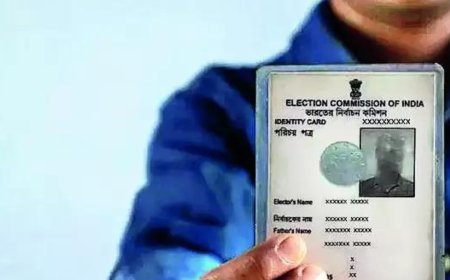 ‘Many duplicate EPICs issued from 2008-2013'