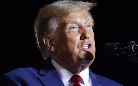 No commitment to US on tariffs: Govt to Parlimantary panel