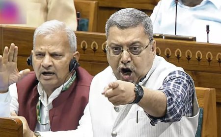 'Who made you minister?': TMC MP slams government over stoppage of MGNREGA funds for Bengal