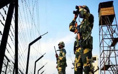 BSF seized Rs 461 crore-worth contraband items on Indo-Bangladesh border in 2024, says Centre