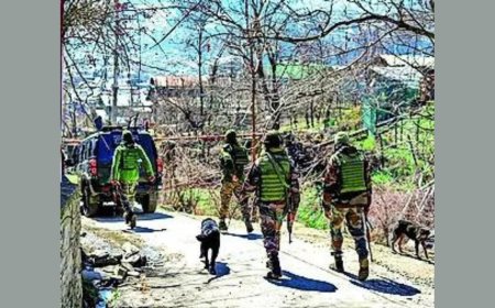 Amid protests over Kathua killings, police say 2 boys missing since Feb 27