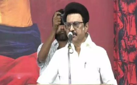 'It is saffron policy': Tamil Nadu CM M K Stalin blasts NEP, vows to gather whole India against BJP's fascism