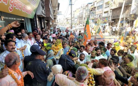 BJP's landslide victory in Ambala Sadar MC elections