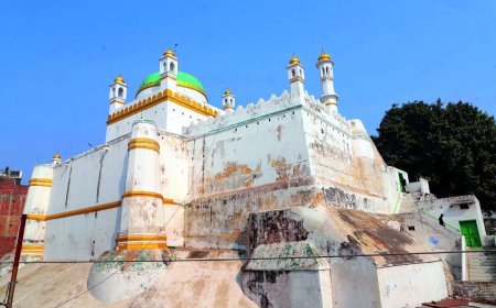 ASI can whitewash Sambhal mosque facade: Allahabad high court