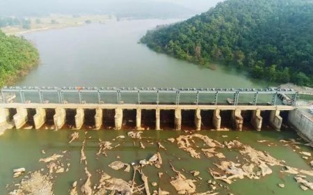 Parliamentary panel flags poor fund use for water projects, seeks better utilisation