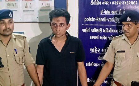 Vadodara car crash accused Rakshit Chaurasia blames pothole, denies drunk driving