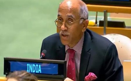 'Fanatical mindset': India slams Pakistan in UN over 'unjustified' reference to J&K