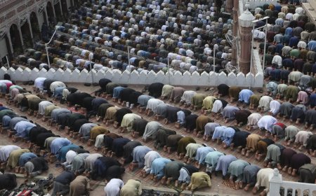 'Countries must commit to equal treatment of all their citizens': India at UN