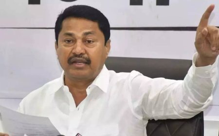 Form government without Fadnavis: Patole woos Shinde and Ajit