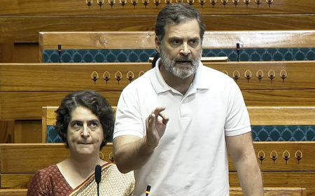 BJP questions Rahul's Vietnam trips