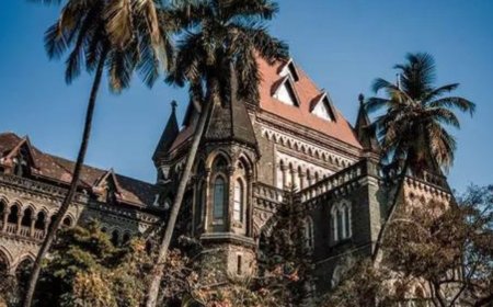 Fetal anomaly detected late, Bombay HC allows 26-year-old to end pregnancy at 35 weeks