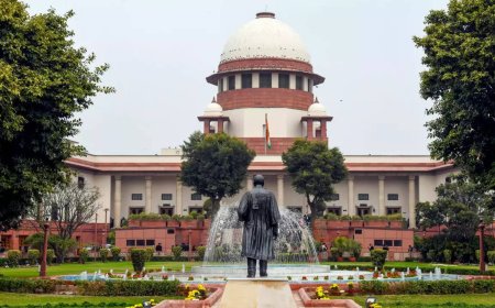 In a year, Supreme Court sets free over a dozen convicted by HCs and trial courts
