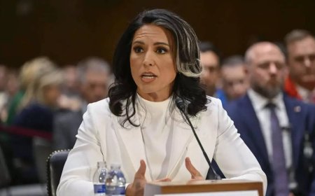 US intelligence chief Tulsi Gabbard arrives in India to attend key Delhi meet