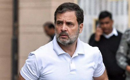 'Idea of India being attacked': Rahul Gandhi says country's wealth being handed over to few businessmen