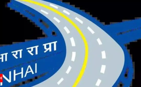 In move to decongest Ring Road, NHAI to build elevated corridor between INA and Nelson Mandela Marg