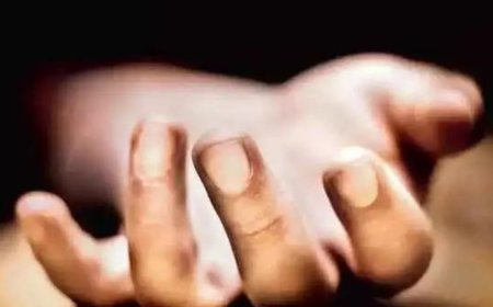 Bodies of 2 J&K brothers found a month after they went missing