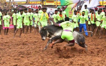 Bull-tamer gored to death at TN Jallikattu event