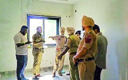 Pakistan don posts clip of Jalandhar grenade attack