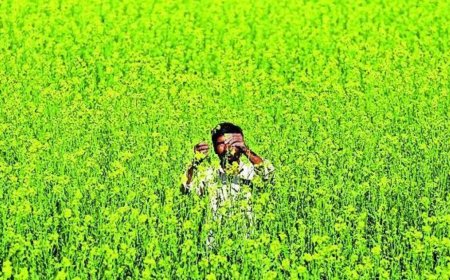 Parliamentary panel proposes minimum support price for organic crops, says MSP will incentivise transition to natural farming