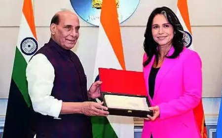 Trade talks happening at very top: Tulsi Gabbard