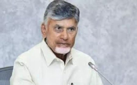 Language is for communication, not for hating, says Naidu