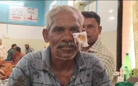 Man fights off tiger, becomes a hero in Maha village overnight