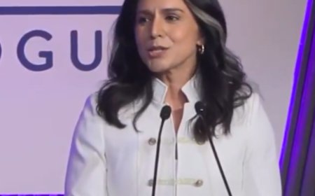 Trump's 'America First' policy does not mean America alone: Tulsi Gabbard