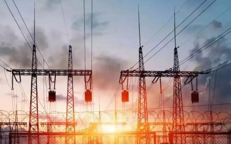 Rapp-7 nuclear-power plant connected to northern grid