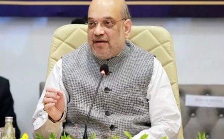 Fireworks in Rajya Sabha after TMC MP targets Amit Shah