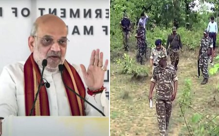‘Zero tolerance policy’: Amit Shah declares ‘ruthless approach’ as security forces kill 22 Naxalites in Chhattisgarh