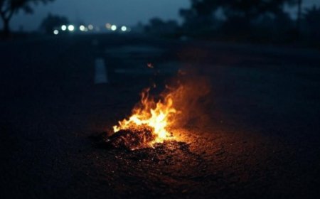 Meerut-like case in Jaipur: 'Denied him food, abused us,' says relative of man killed by wife, her lover