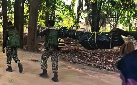 In 80 days, 113 Maoists killed by forces in Chhattisgarh