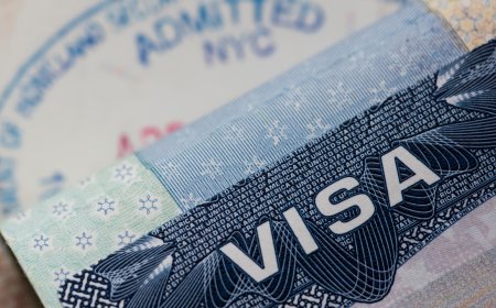 'Fraudulent info, misrepresentations': How US embassy detected visa fraud by agents