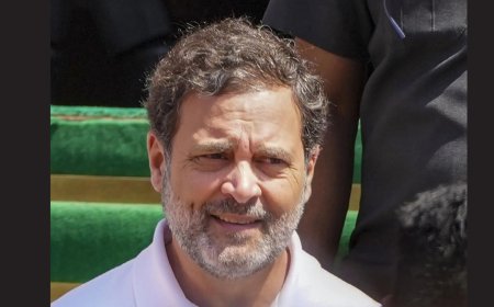 'Politically unfit, dolt': BJP slams Rahul Gandhi over merit remark, Karnataka quota