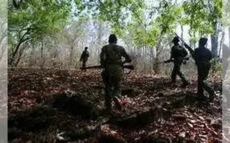 16 of 30 Maoists killed in twin operations were women in Chhattisgarh